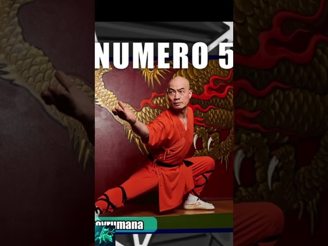 10 Motivi Perchè Nessuno può Battere un Maestro Shaolin