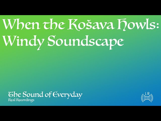 When the Košava Howls: A Windy Soundscape (Audio only) - Relaxing Nature Sound