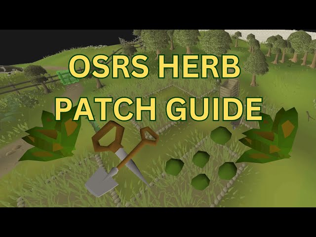 Ultimate Herb Farming Run Guide 2024 OSRS