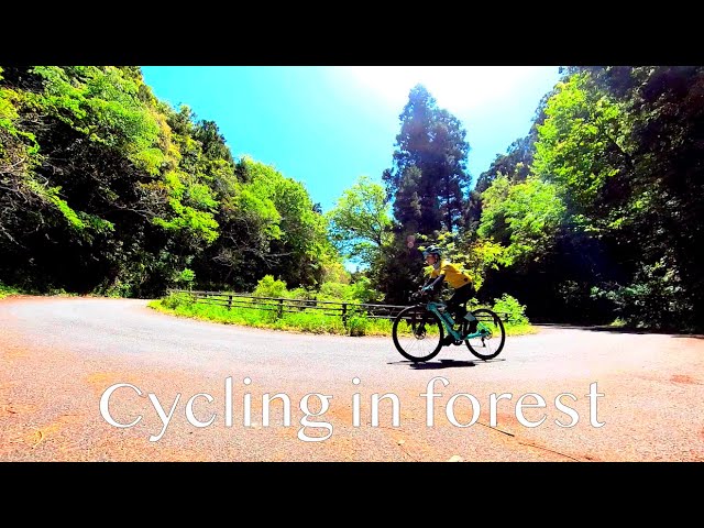 Hill climb in forest, Suzumegawa rindo, country side Japan | Bianchi, Oltre XR3, Cycling vlog