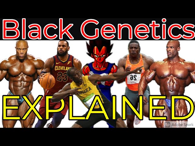 BLACK GENETICS EXPLAINED