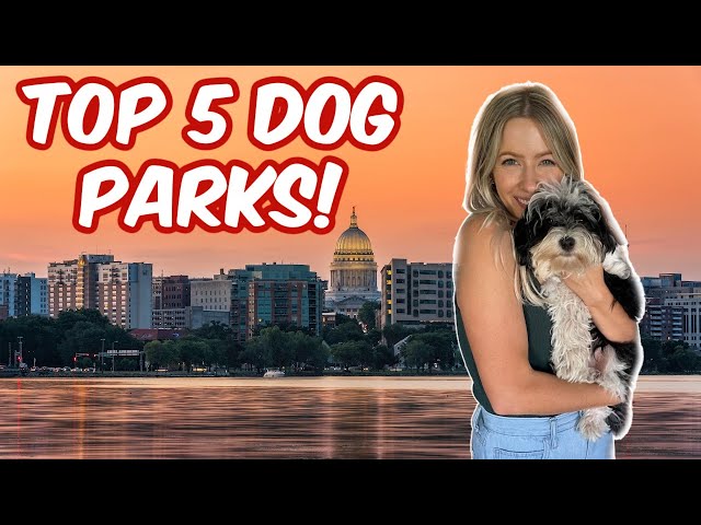 Top 5 Dog Parks in Madison, WI