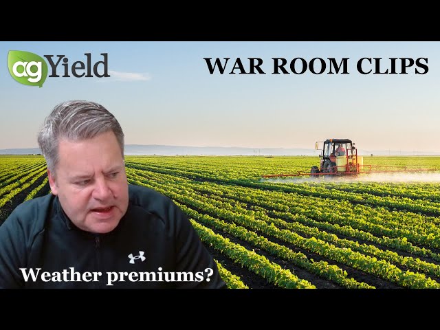 Shaky social media chatter on weather premiums | The War Room Clips