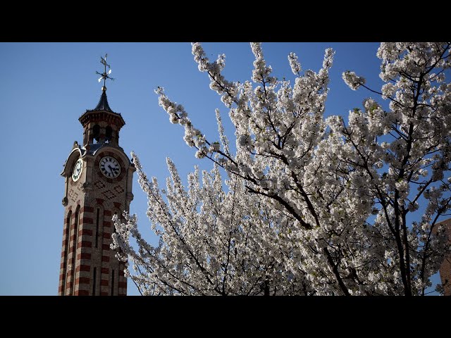 About Epsom and Ewell (Promotional Video)