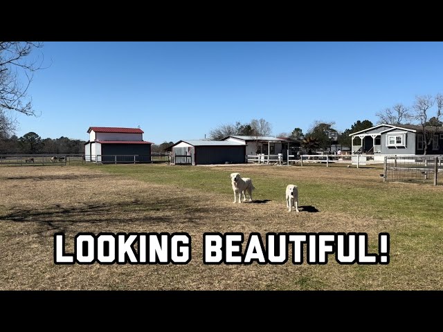 Clean-Up day at the Sanctuary