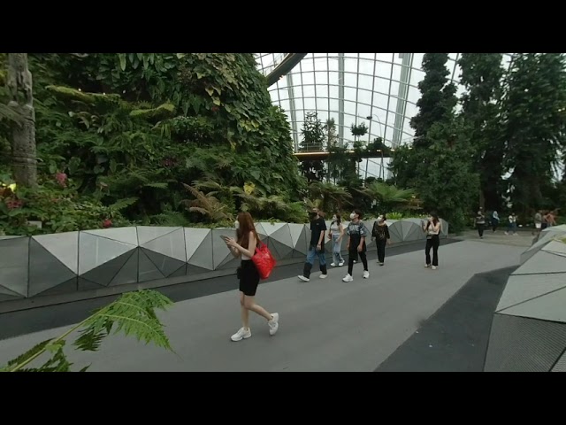 [VR180] Cloud Forest @ Gardens by the Bay, Singapore