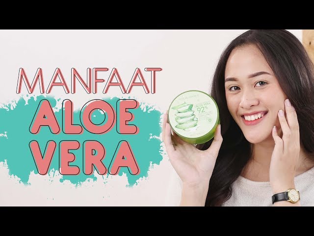 5 Manfaat Aloe Vera Gel Dan Cara Penggunaannya Untuk Wajah Dan Rambut