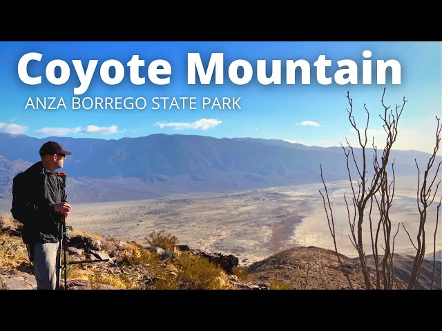 Hiking Coyote Mountain - Anza Borrego State Park-Desert Bighorn Sheep