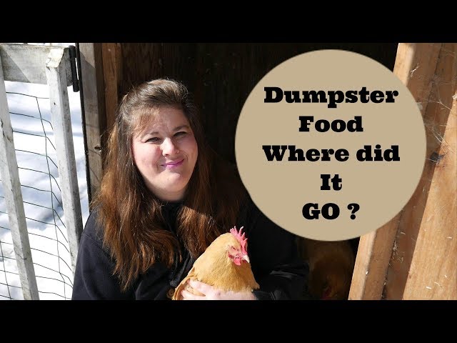 Dumpster Food Was It Worth it ?