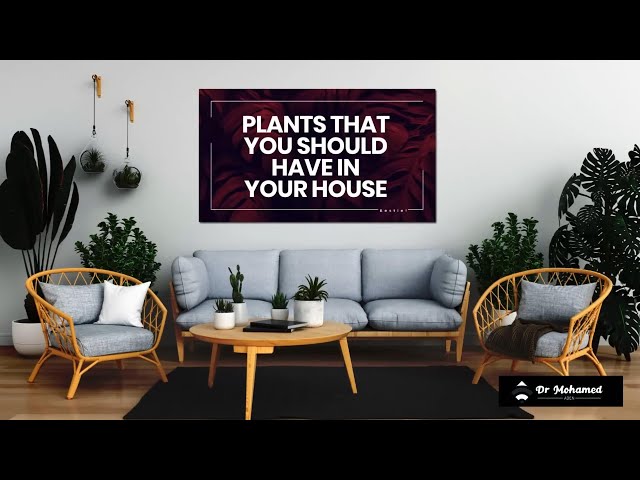 🌿 Breathe Better, Live Better: The Power of Indoor Plants! 🌿