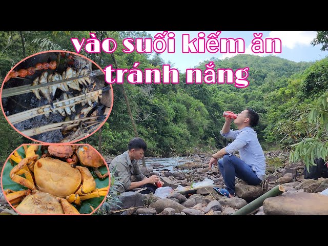 sinh tồn kiếm ăn trong rừng già ,vào rừng kiếm ăn tránh nắng mùa hè | nhật ký cuộc sống