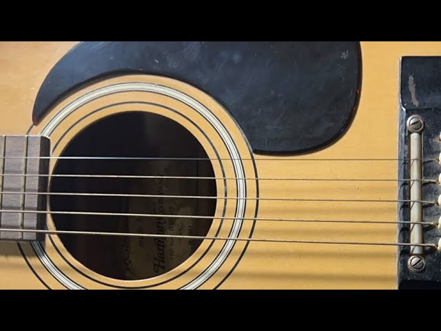 Vintage Guitar repair - harmony h6341