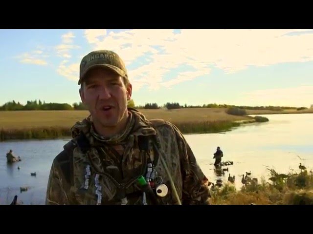 Hired to Hunt #8 1080p HD - Duck Hunting and Goose Hunting in Alberta