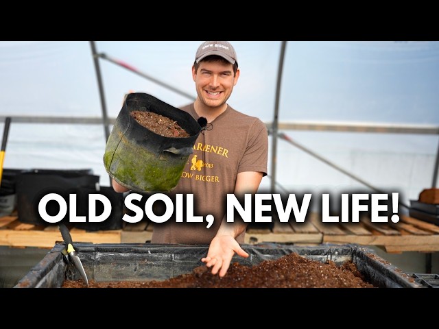 Never Throw Out Old Potting Soil Again - Refresh and Reuse it to Save TONS of Money!