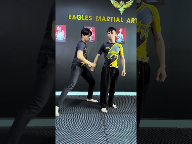 Lý thuyết thôi [BEN EAGLE] #beneagle #training #kungfu #martialarts #fighting