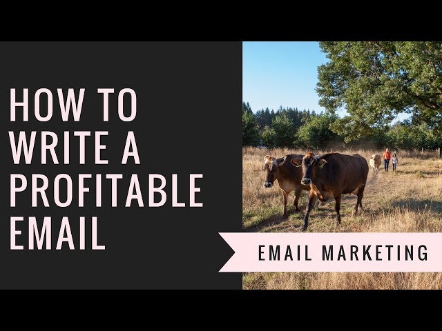 How to Write a Profitable Email