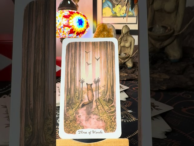 🔮🧿Daily Tarot Reading 🪬👁️🪄🔮Mystical Quickie🪬💞 #tarotreading  #dailytarot #tarotguidance