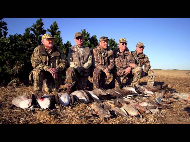 Hired to Hunt #5 1080p HD - Duck Hunting and Goose Hunting in Alberta