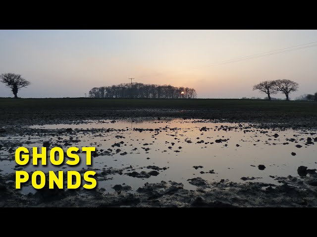 Bringing 'ghost' and 'zombie' ponds back from the dead