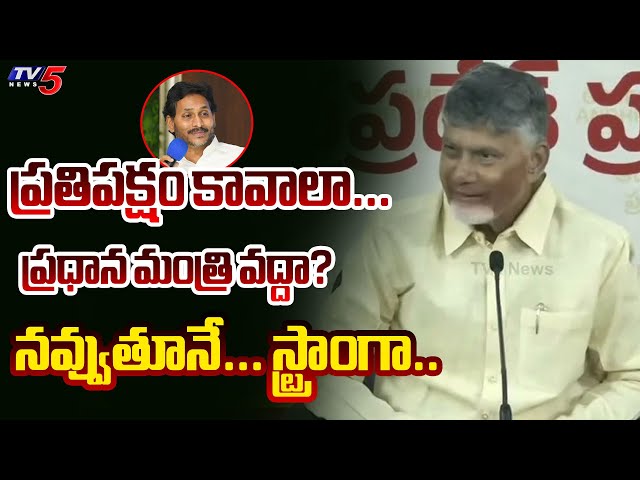 CM Chandrababu Satirical Comments on YS Jagan Opposition Post | YSRCP | TV5 News