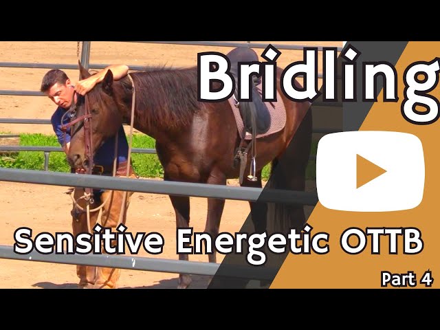 Bridling a Sensitive OTTB