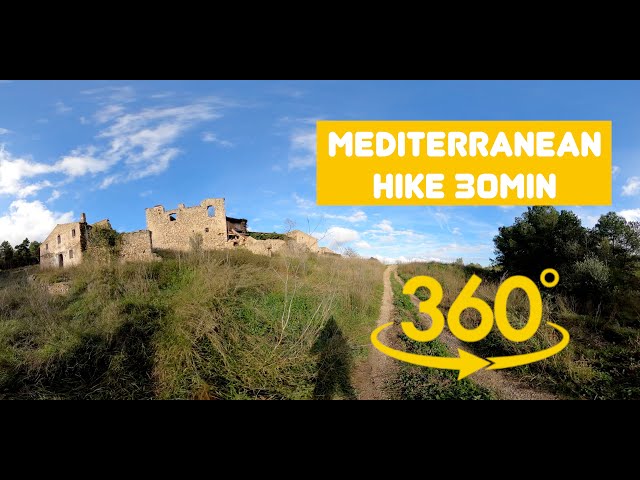 Hiking the mediterranean forest in Autumn. 360° Video