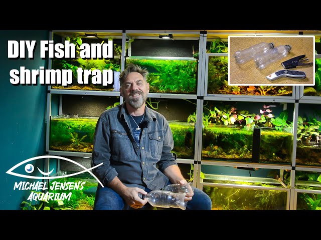 Make your own fish and shrimp trap - DIY aquarium tip