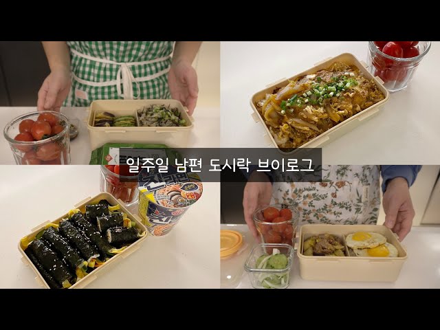 바쁜 아침이지만, 정성가득한 일품 도시락 4가지. 직장인 남편 도시락🍱