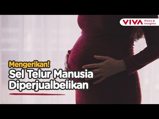 'Ternak Bibit Manusia' di Georgia, Wanita Disekap, Dibius, Sel Telur Dipanen