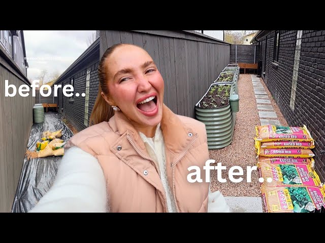 my INSANE backyard transformation + how I started my garden (tips & tricks)