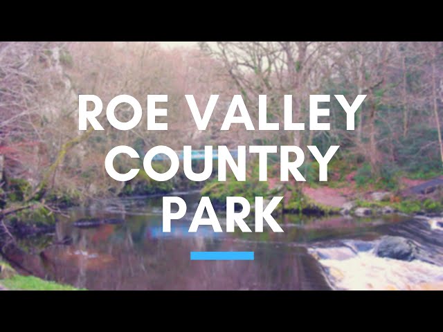 Roe Valley Country Park - Area 1 of 3 - Forest and River Roe