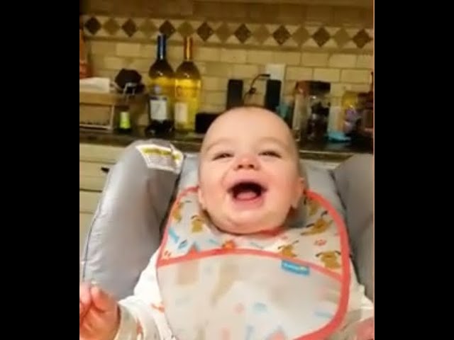 Baby funny videos......2