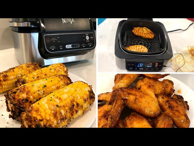 Ninja Foodi 5-in-1 Indoor Grill Full REVIEW and DEMO