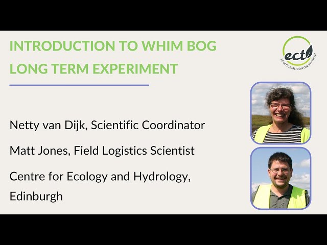 Introduction to Whim Bog Long-term Experiment 360-degree video