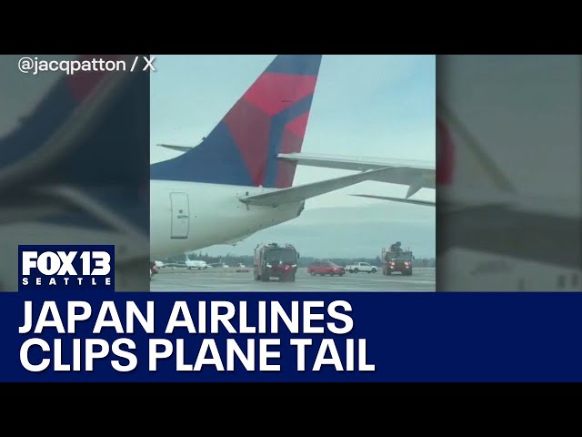 Japan Airlines plane clips tail of Delta plane | FOX 13 Seattle