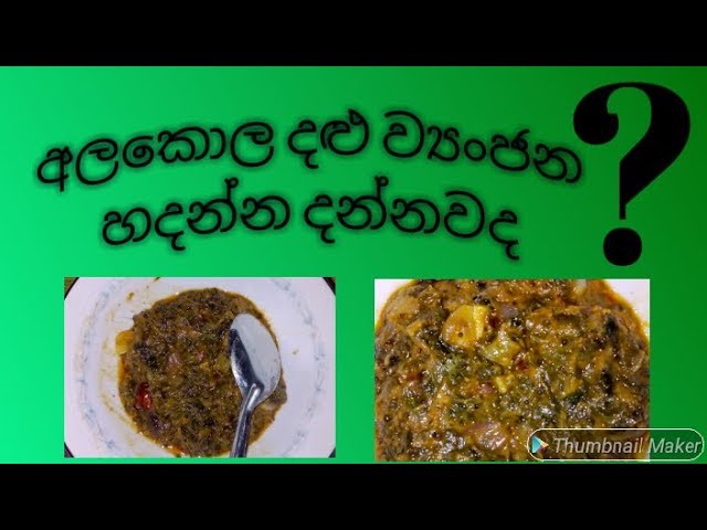 "අලකොල මාළුව" "alakola curry" "sl food recipes"  "alakola maluwa" "අලකොල මාළුව" "my kitchen"