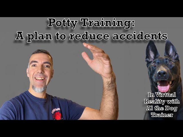 Potty Training: A plan to reduce accidents.  In VR180!