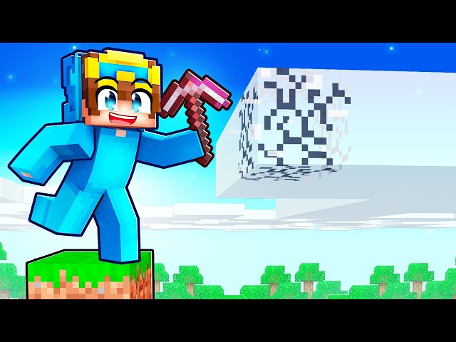 Minecraft But You Can Mine EVERYTHING!