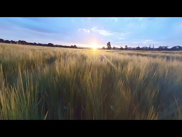 meditation en pleine nature : coucher du soleil