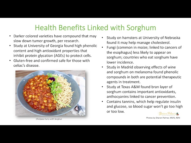 Putting Healthy, Sustainable Sorghum on the Table by Sharon Palmer - Export Sorghum 2019