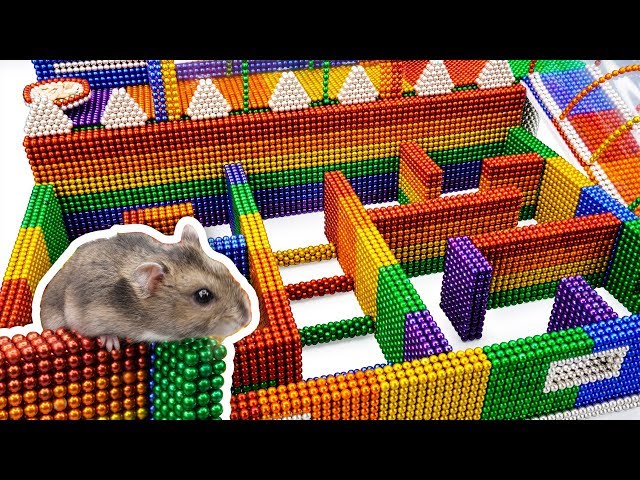 DIY - Build Amazing Maze Labyrinth For Hamster Pet With Magnetic Balls (Satisfying) - Magnet Balls