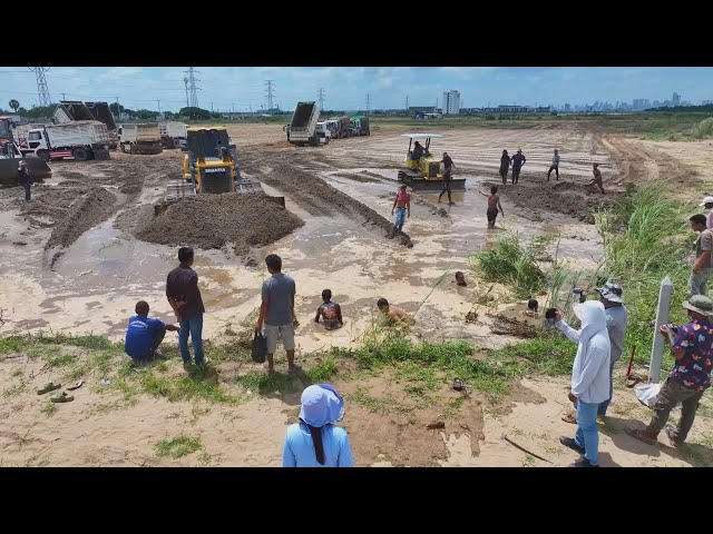 Happy Catching Fish for Final Project SHANTUI Bulldozer DH17C2 Wheel Loader SD300N 5Ton Truck