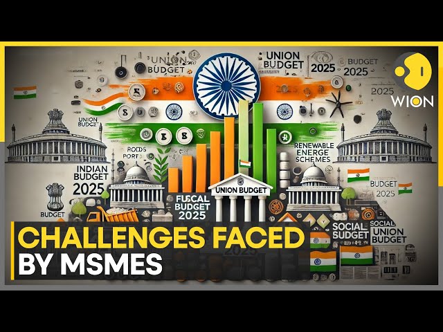 MSME Sector's Wishlist From India's Budget | World News | WION