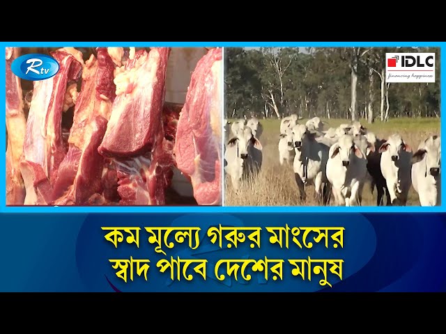 বাংলাদেশের বাজারে গরুর মাংস রপ্তানীতে আগ্রহ ব্রাজিল | Brazil | Rtv News