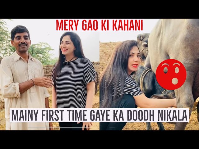 Mainy First Time Gaye Ka Doodh Nikala | Village Ki Kahani | Village Life | Mehak Malik | Vlog