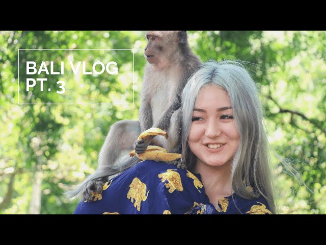 🐒 bali, indonesia vlog (pt.3) | monkey forest & beautiful temples