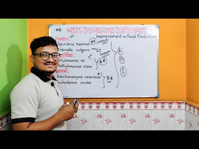 Single Cell Protein Class 12 | Class 12 Biology Chapter 10 in Bengali