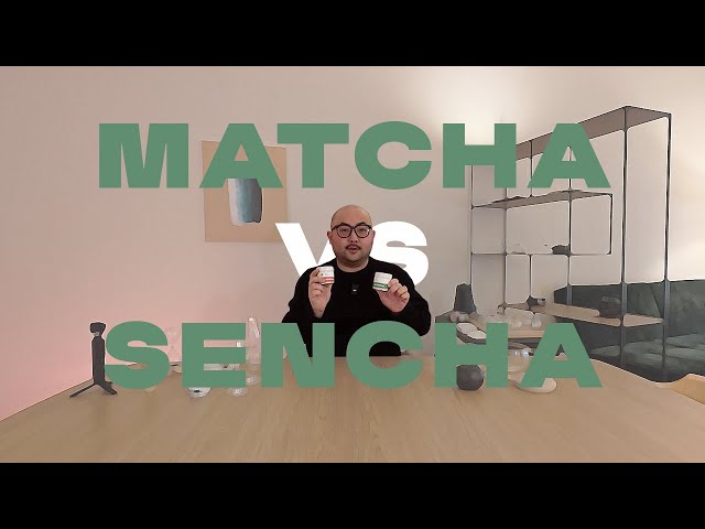 Matcha vs. Sencha – Which Japanese Tea Suits You Best?