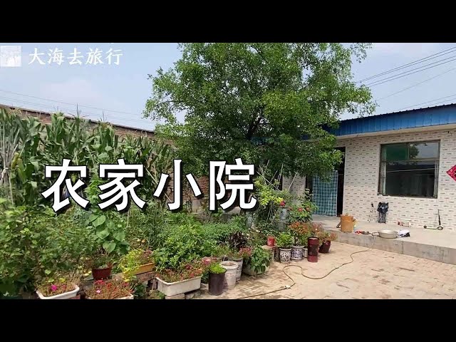 In the rural courtyard of Taiyuan, I am 35 years old and I am now living my retirement life!