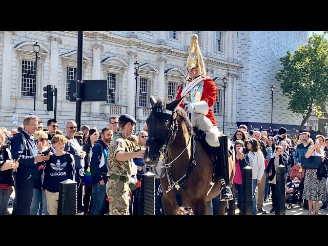 Horse Refuses To Go To Work